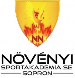 cropped-cropped-nsa-sopron.jpg