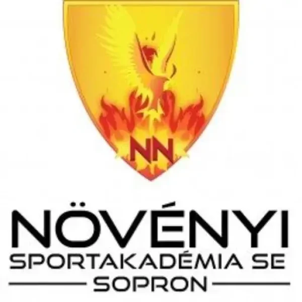 cropped-cropped-nsa-sopron.jpg